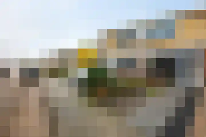 Helmer Molemastraat 8 Warffum thumbnail 31