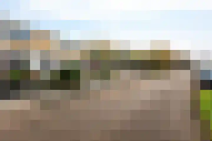 Helmer Molemastraat 8 Warffum thumbnail 32