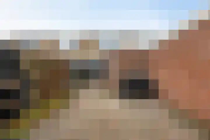 Helmer Molemastraat 8 Warffum thumbnail 34