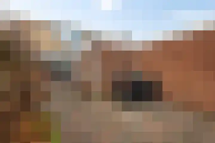 Helmer Molemastraat 8 Warffum thumbnail 35