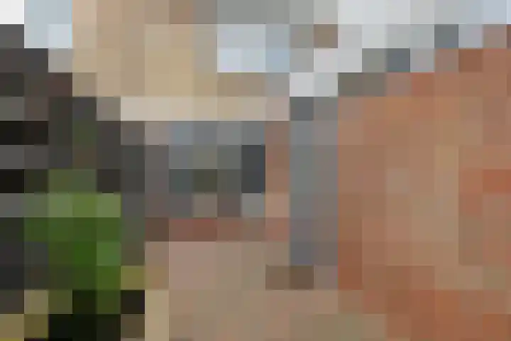 Helmer Molemastraat 8 Warffum thumbnail 37