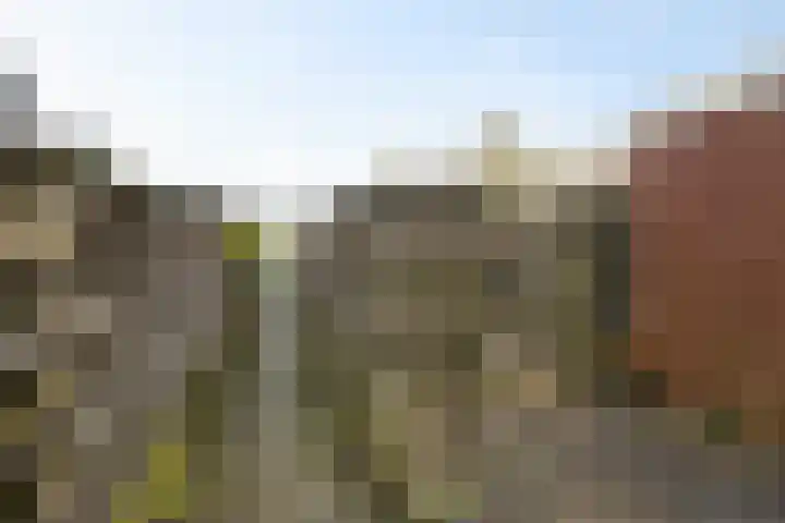 Helmer Molemastraat 8 Warffum thumbnail 38