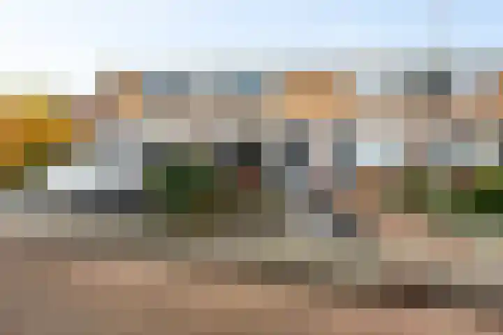 Helmer Molemastraat 8 Warffum thumbnail 4