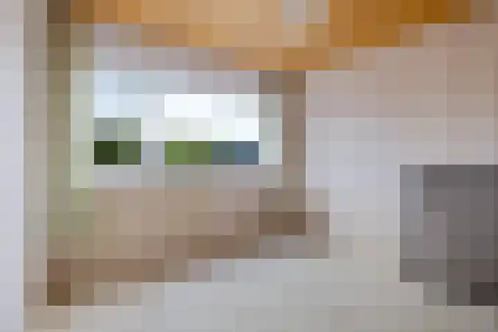 Helmerdijk 49 Paterswolde thumbnail 20
