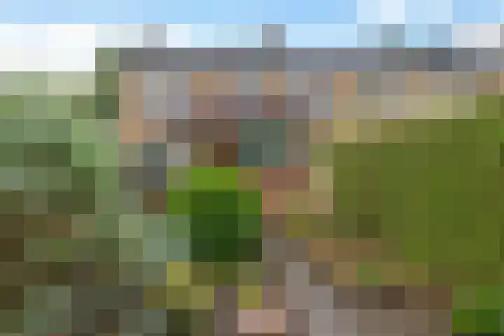 Helmerdijk 49 Paterswolde thumbnail 25