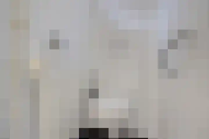Helmerdijk 49 Paterswolde thumbnail 5