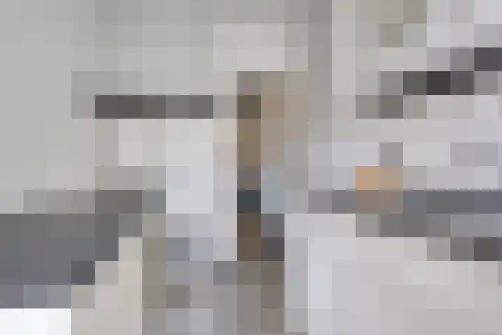 Helmerslaan 42 Eindhoven thumbnail 16