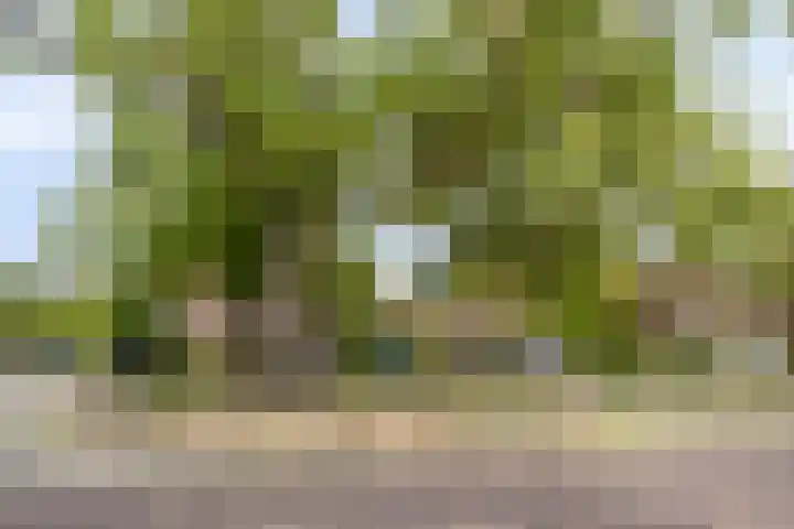 Helmerslaan 42 Eindhoven thumbnail 29