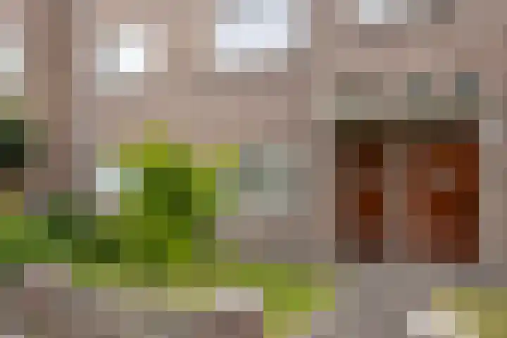 Helmerslaan 42 Eindhoven thumbnail 6