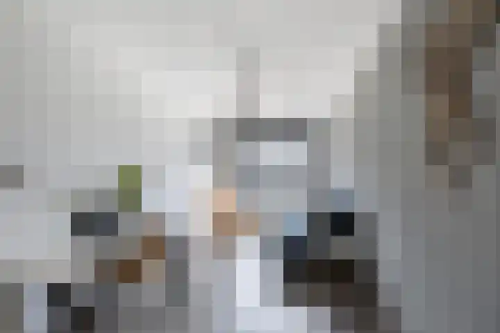 Helmersstraat 177 Rotterdam thumbnail 35