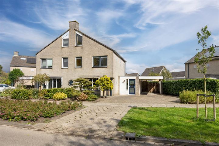 Helmhout 80 in Joure foto