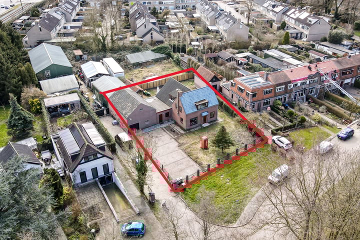 Helmkruid 24 in Nieuwegein foto