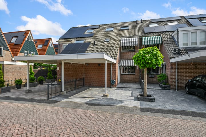 Helmkruid 3 in Velserbroek foto