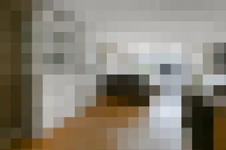Helmkruid 3 Velserbroek thumbnail 11