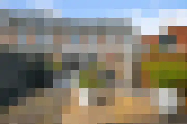 Helmkruid 3 Velserbroek thumbnail 15