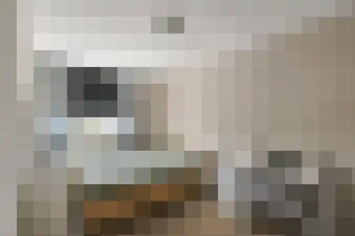 Helmkruid 3 Velserbroek thumbnail 22