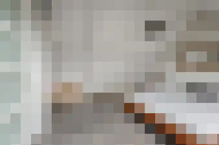 Helmkruid 3 Velserbroek thumbnail 31