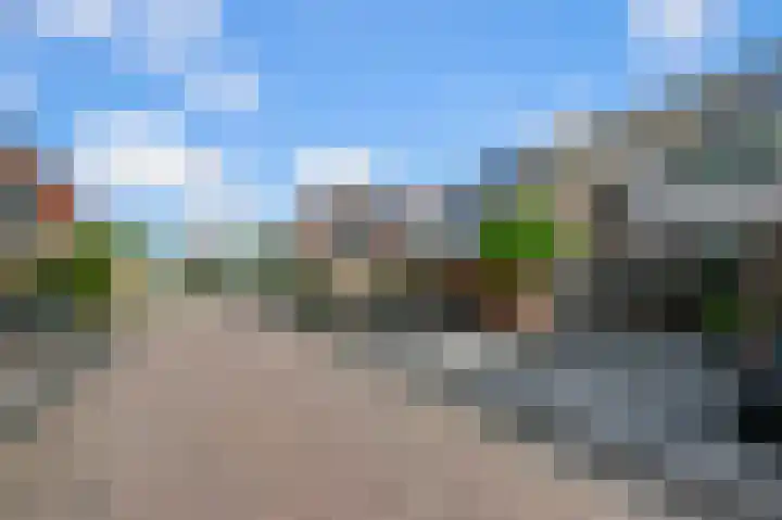 Helmkruid 3 Velserbroek thumbnail 32