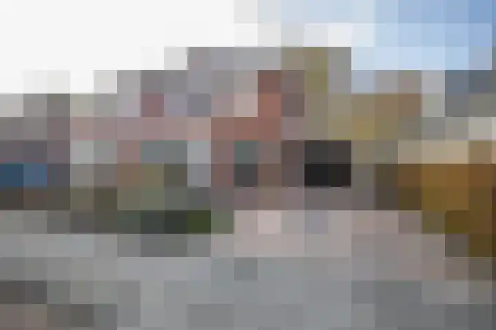 Helmkruid 4 in Vroomshoop