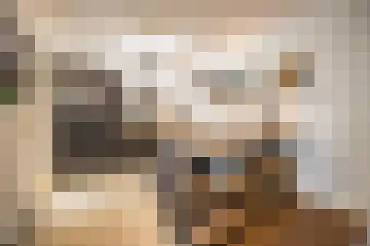 Helmkruid 4 Vroomshoop thumbnail 14