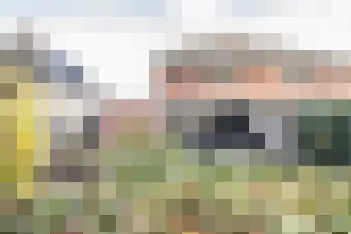 Helmkruid 4 Vroomshoop thumbnail 23
