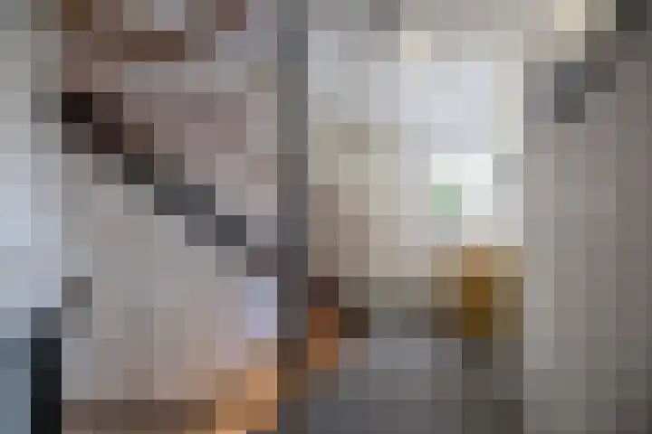 Helmkruid 4 Vroomshoop thumbnail 25