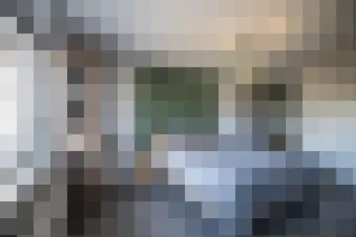 Helmkruid 4 Vroomshoop thumbnail 28