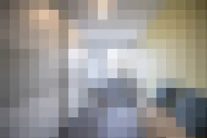 Helmkruid 4 Vroomshoop thumbnail 33