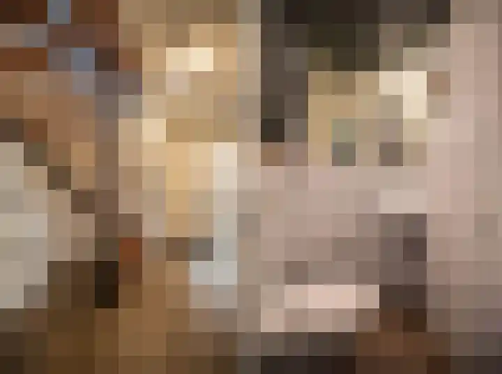 Helmkruid 4 Vroomshoop thumbnail 8