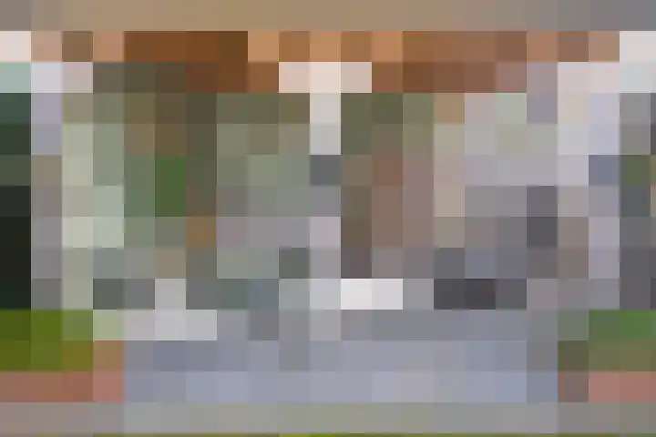 Helmkruid 6 Brummen thumbnail 26