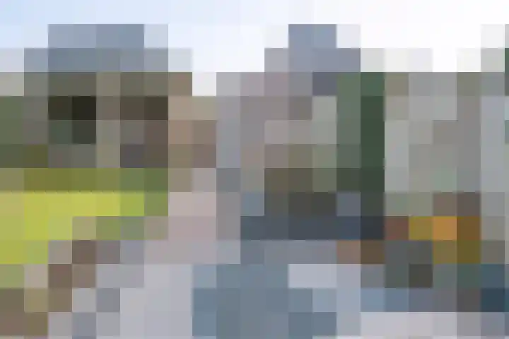 Helmkruid 6 Brummen thumbnail 30