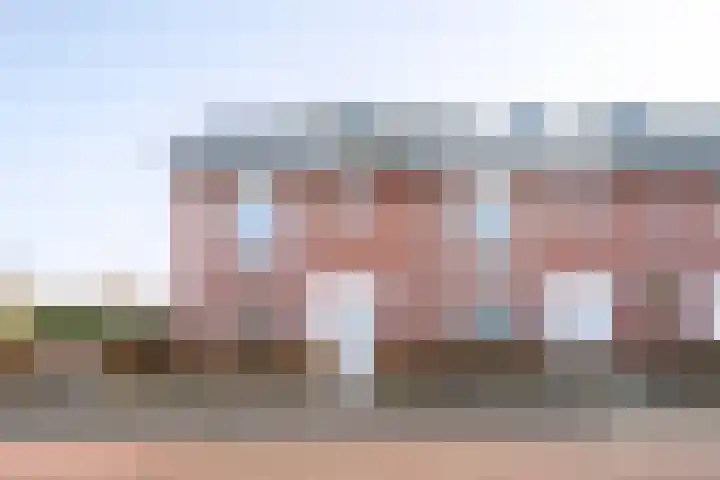 Helmkruid 6 Brummen thumbnail 33