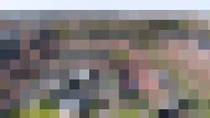 Helmkruid 6 Brummen thumbnail 36