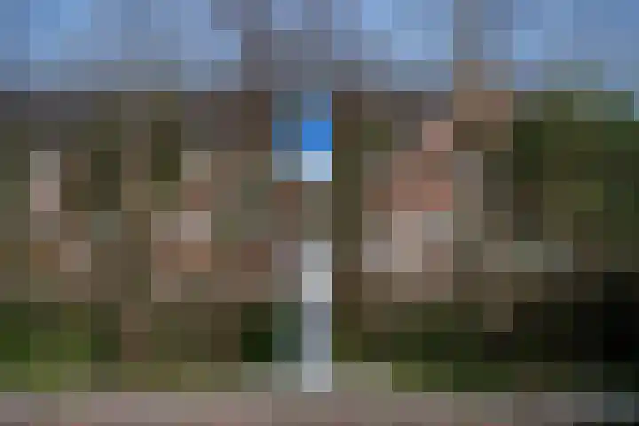 Helmkruid 6 Brummen thumbnail 37