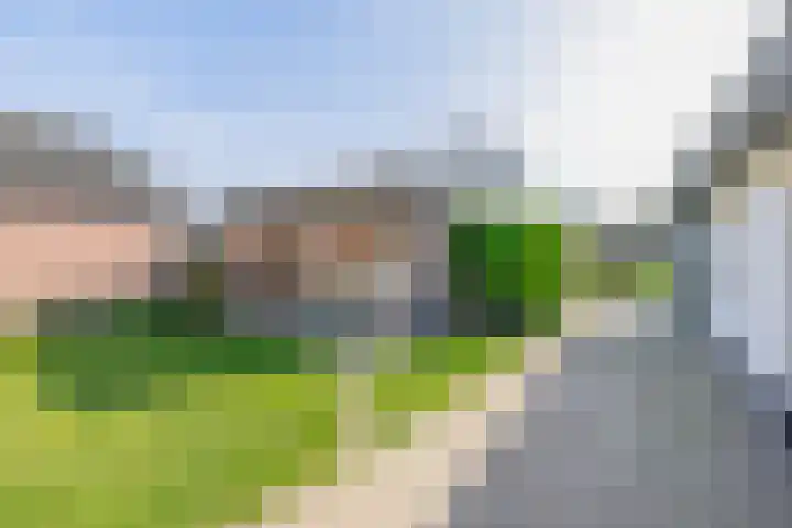 Helmondseweg 47 Deurne thumbnail 4