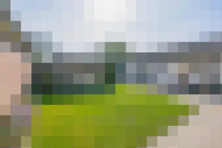 Helmondseweg 47 Deurne thumbnail 49