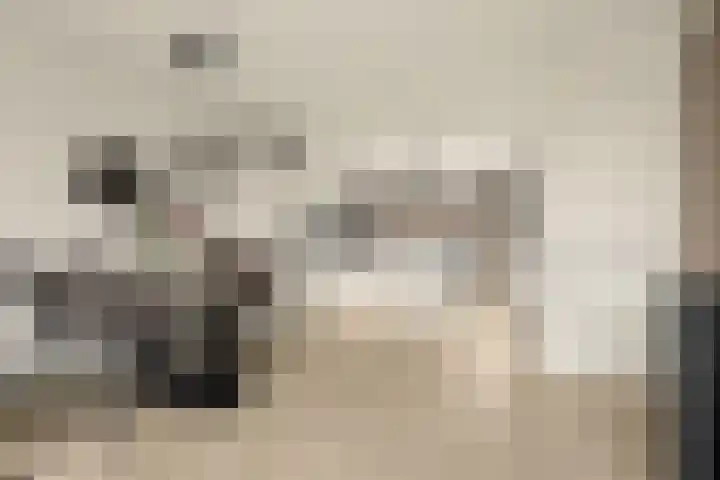 Helmstraat 26 Monster thumbnail 6