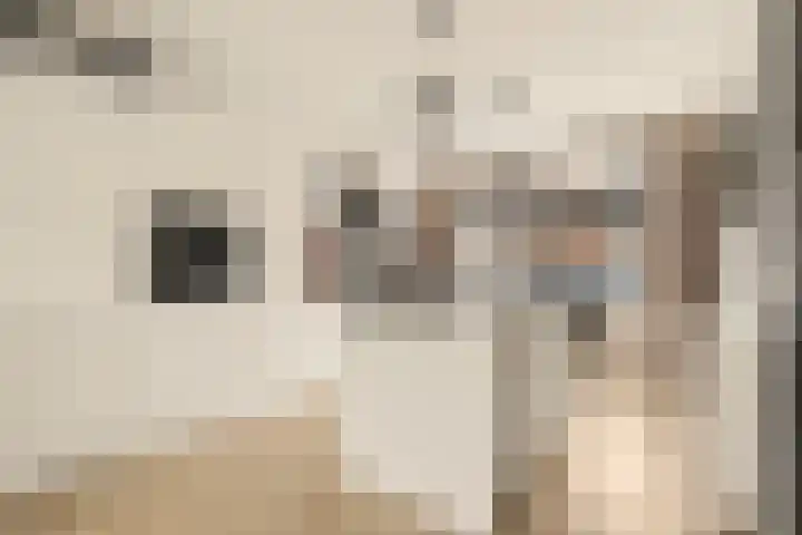 Helmstraat 26 Monster thumbnail 9