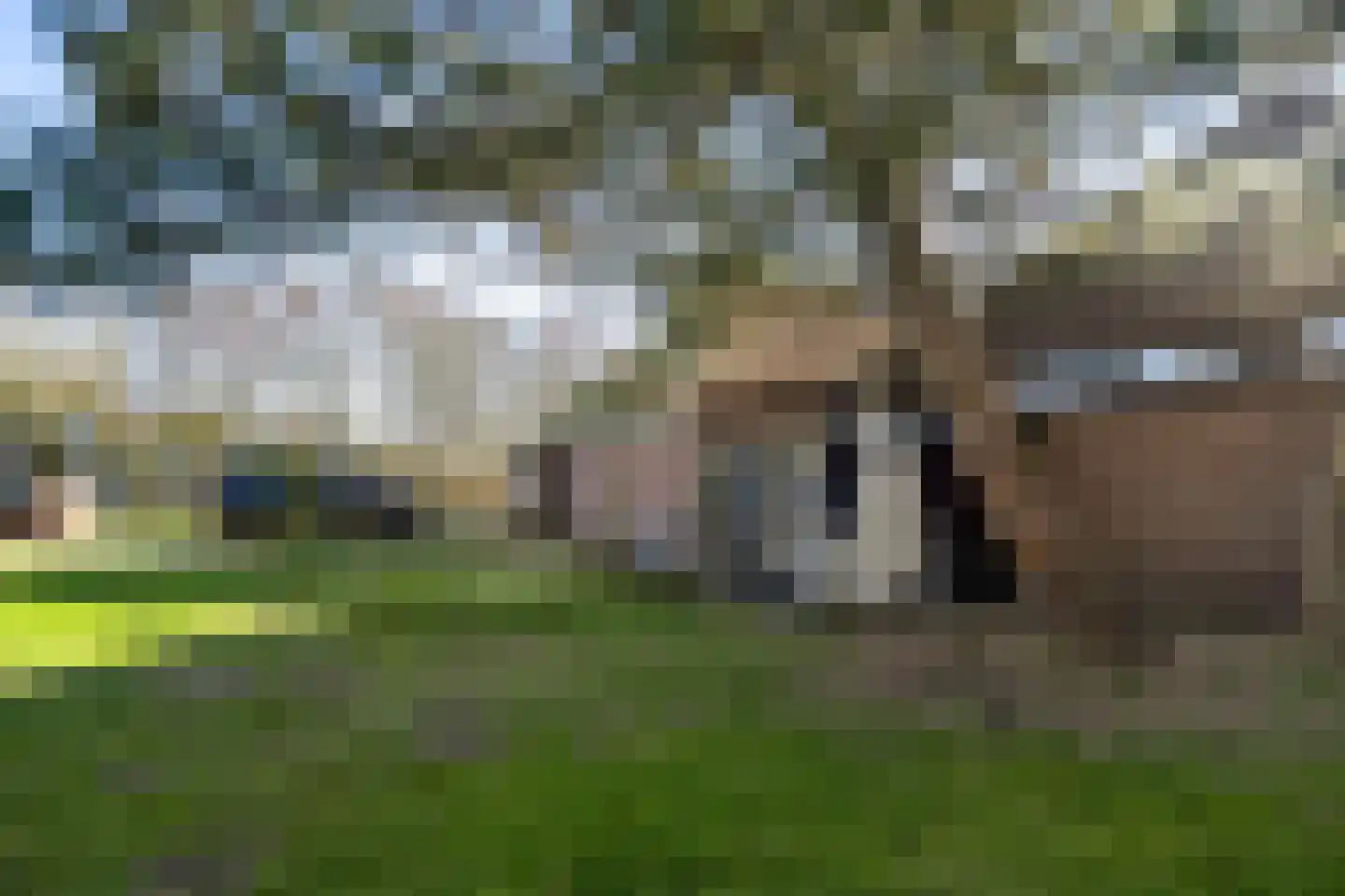 Helmweg 1 Callantsoog thumbnail 101