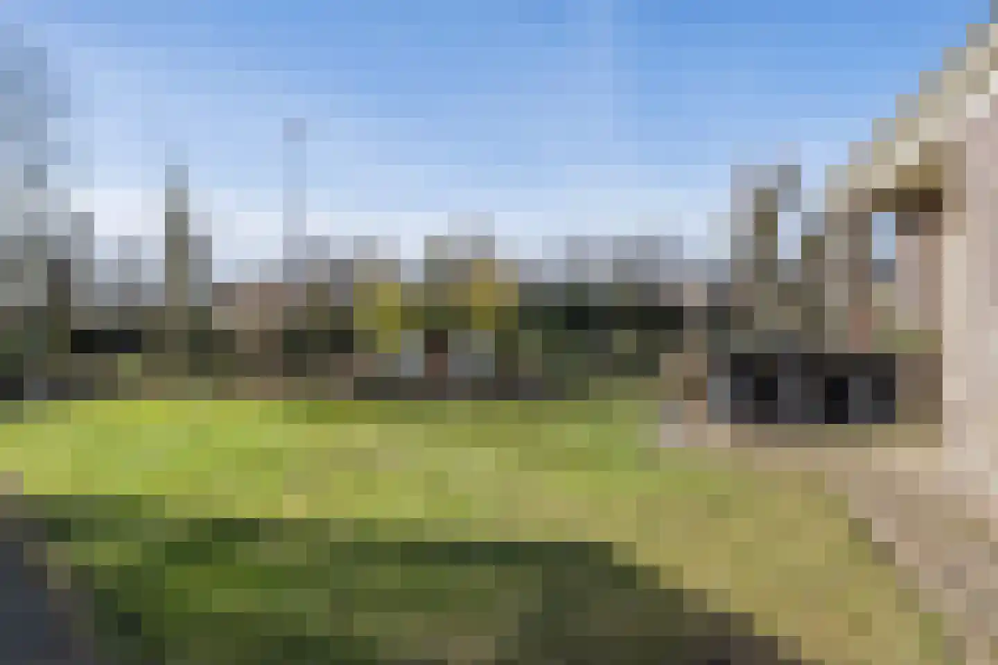 Helmweg 1 Callantsoog thumbnail 33