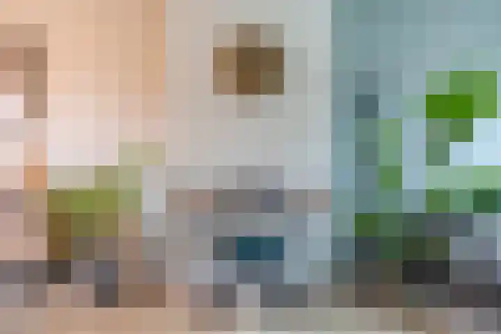Helper Brink 21 Groningen thumbnail 14