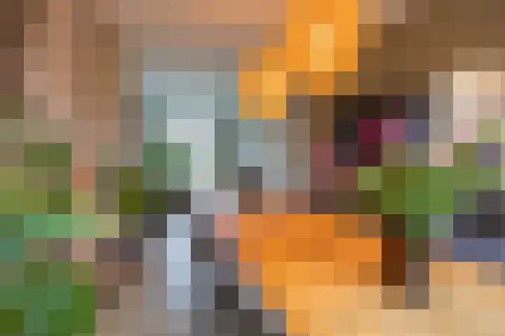 Helper Brink 21 Groningen thumbnail 22