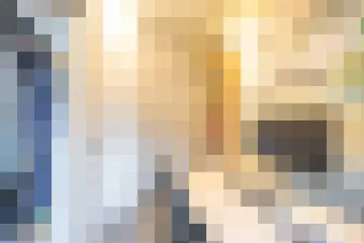 Helper Brink 21 Groningen thumbnail 26