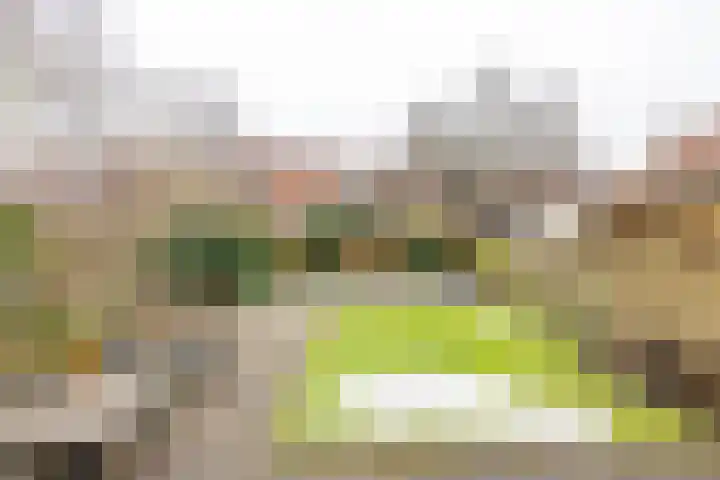 Helper Brink 21 Groningen thumbnail 34