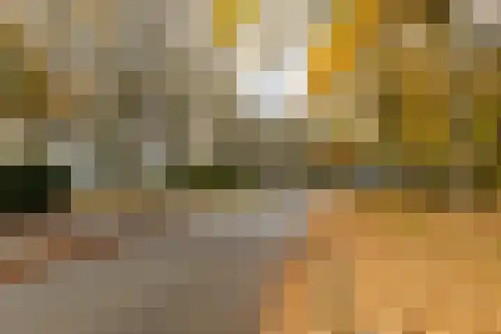 Helper Brink 61 189 Groningen thumbnail 27
