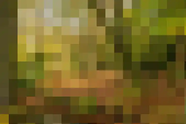 Helper Brink 61 189 Groningen thumbnail 30