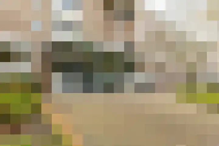 Helper Brink 61 189 Groningen thumbnail 6
