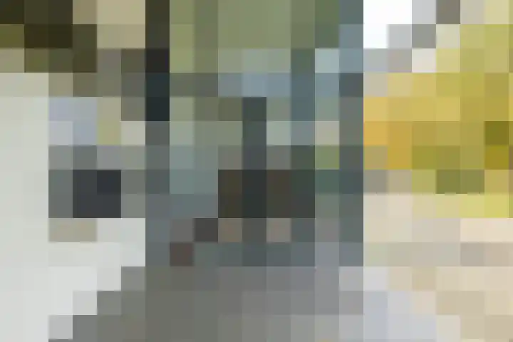 Helper Brink 61 189 Groningen thumbnail 7