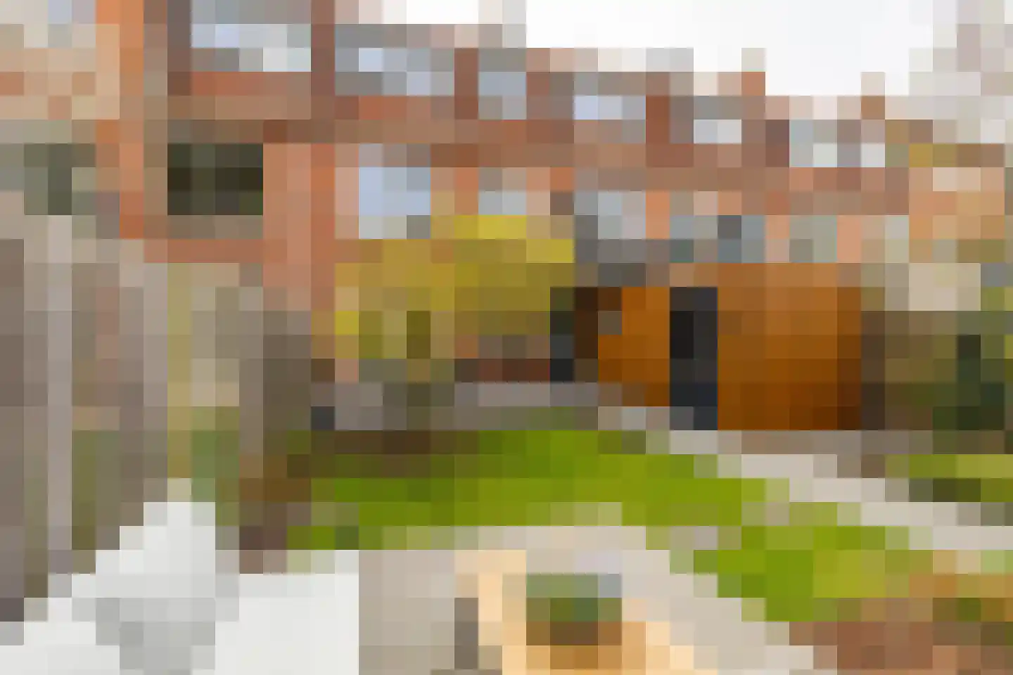 Helper Kerkstraat 38 Groningen