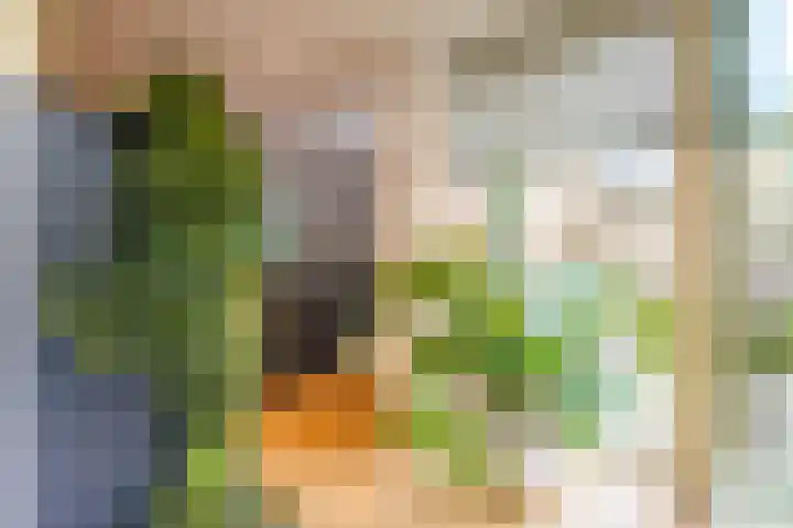 Helper Kerkstraat 44 Groningen thumbnail 21